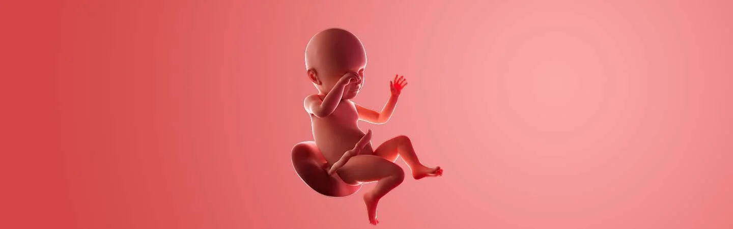 Desenvolvimento do bebé às 39 semanas de gravidez