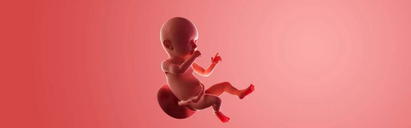 Desenvolvimento do bebé às 41 semanas de gravidez